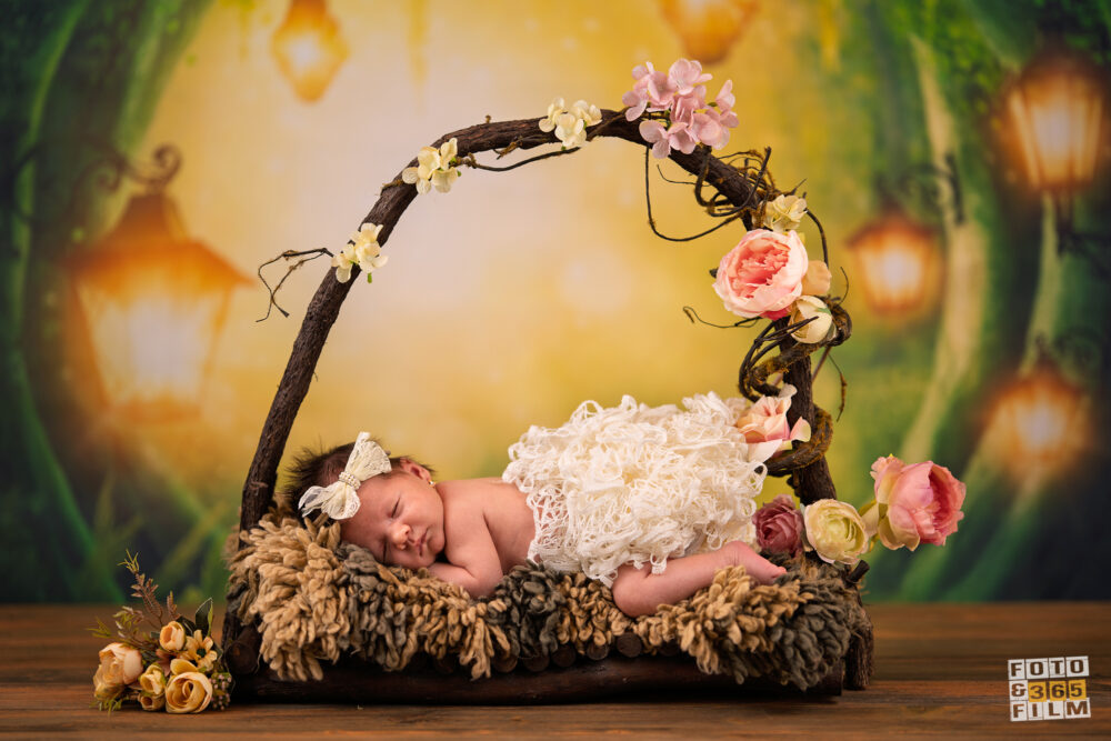 sedinta foto bebe nou nascut new born photography bebelus studio foto bucuresti sector 2